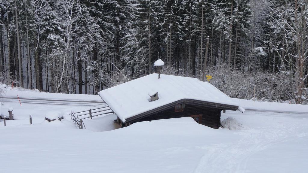 Almbruennerl Die Almhuette Auf Der Raffner Alm 鲁波尔丁 客房 照片